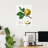 Vintage botanische Illustration Poster (Heimbüro)