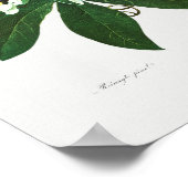 Vintage botanische Illustration Poster (Ecke)