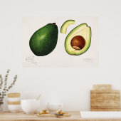 Vintage botanische Illustration Poster (Küche)