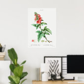 Vintage botanische Illustration Poster (Heimbüro)