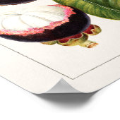 Vintage botanische Illustration Poster (Ecke)