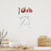 Vintage botanische Illustration Poster (Küche)