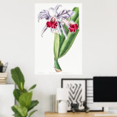 Vintage botanische Illustration Poster (Heimbüro)