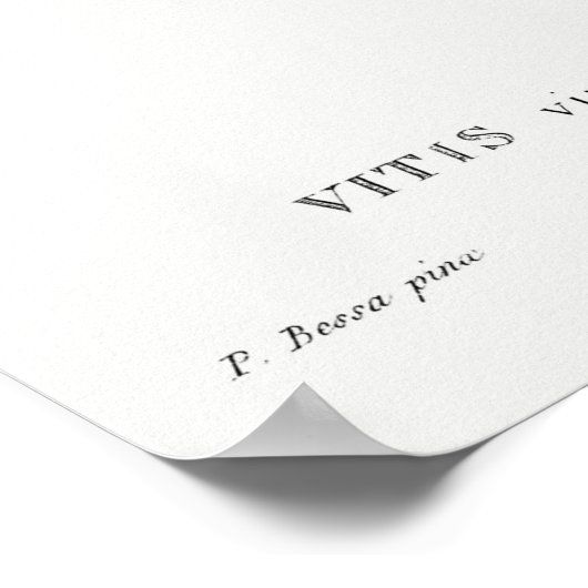 Vintage botanische Illustration Poster (Ecke)