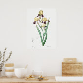 Vintage botanische Illustration Poster (Küche)