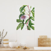 Vintage botanische Illustration Poster (Küche)