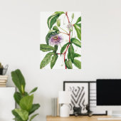 Vintage botanische Illustration Poster (Heimbüro)