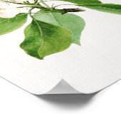 Vintage botanische Illustration Poster (Ecke)