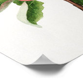 Vintage botanische Illustration Poster (Ecke)