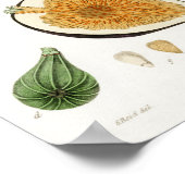 Vintage botanische Illustration Poster (Ecke)