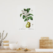 Vintage botanische Illustration Poster (Küche)