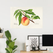 Vintage botanische Illustration Poster (Heimbüro)