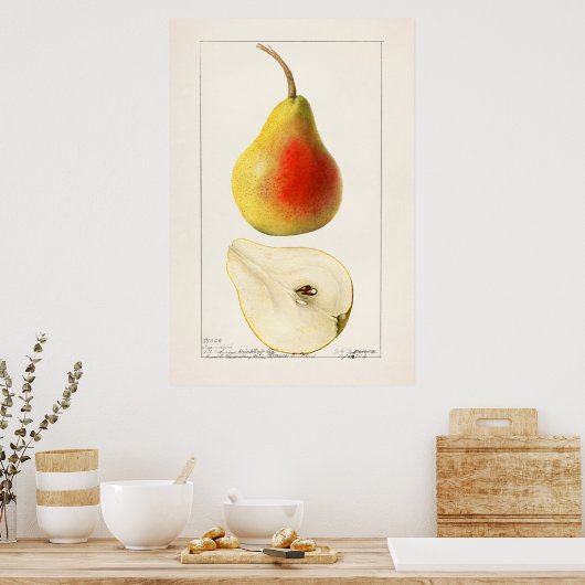 Vintage botanische Illustration Poster (Küche)