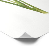 Vintage botanische Illustration Poster (Ecke)