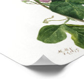 Vintage botanische Illustration Poster (Ecke)