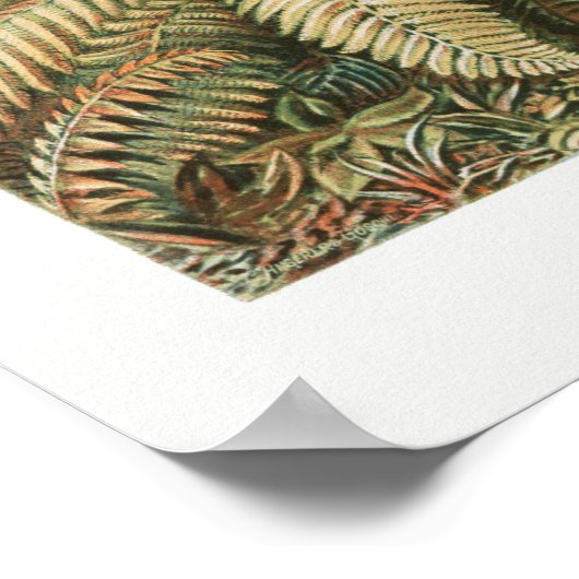 Vintage botanische Illustration Poster (Ecke)