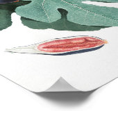 Vintage botanische Illustration Poster (Ecke)