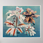 Vintage botanische Illustration Poster (Vorne)