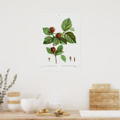 Vintage botanische Illustration Poster (Küche)