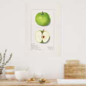 Vintage botanische Illustration Poster (Küche)