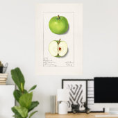 Vintage botanische Illustration Poster (Heimbüro)