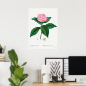 Vintage botanische Illustration Poster (Heimbüro)