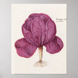 Vintage botanische Illustration Poster