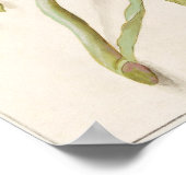 Vintage botanische Illustration Poster (Ecke)