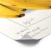 Vintage botanische Illustration Poster (Ecke)