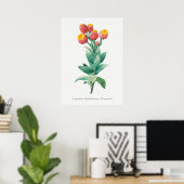 Vintage botanische Illustration Poster (Heimbüro)