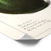 Vintage botanische Illustration Poster (Ecke)