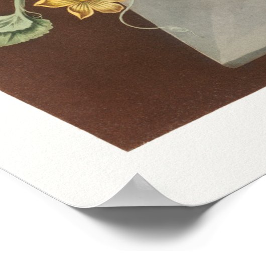 Vintage botanische Illustration Poster (Ecke)