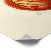 Vintage botanische Illustration Poster (Ecke)