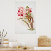 Vintage botanische Illustration Poster (Küche)