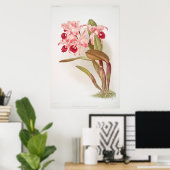 Vintage botanische Illustration Poster (Heimbüro)