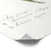 Vintage botanische Illustration Poster (Ecke)