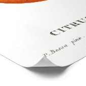 Vintage botanische Illustration Poster (Ecke)