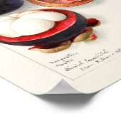 Vintage botanische Illustration Poster (Ecke)