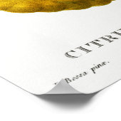 Vintage botanische Illustration Poster (Ecke)