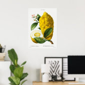 Vintage botanische Illustration Poster (Heimbüro)