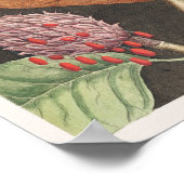 Vintage botanische Illustration Poster (Ecke)