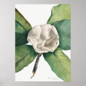 Vintage botanische Illustration Poster (Vorne)