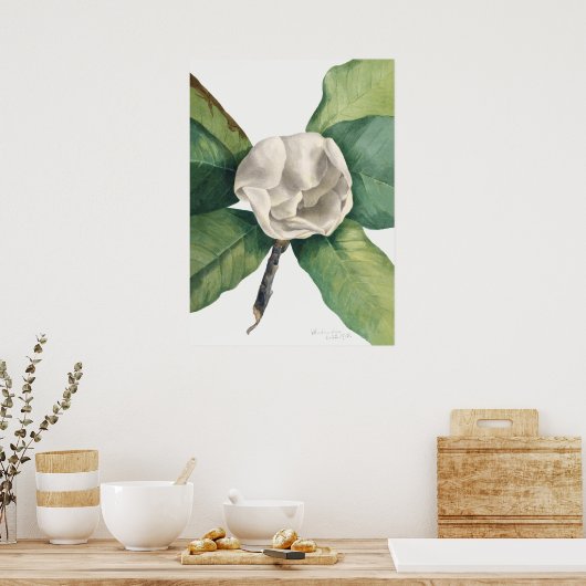 Vintage botanische Illustration Poster (Küche)