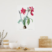 Vintage botanische Illustration Poster (Küche)