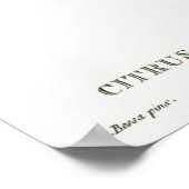 Vintage botanische Illustration Poster (Ecke)