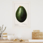 Vintage botanische Illustration Poster (Küche)
