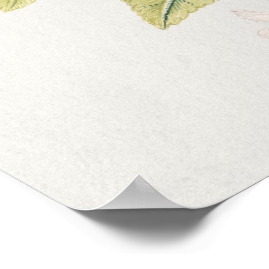 Vintage botanische Illustration Poster (Ecke)