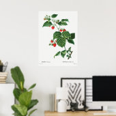 Vintage botanische Illustration Poster (Heimbüro)