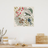 Vintage botanische Illustration Poster (Küche)