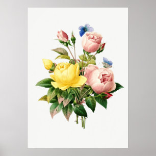 Vintage botanische Illustration Poster